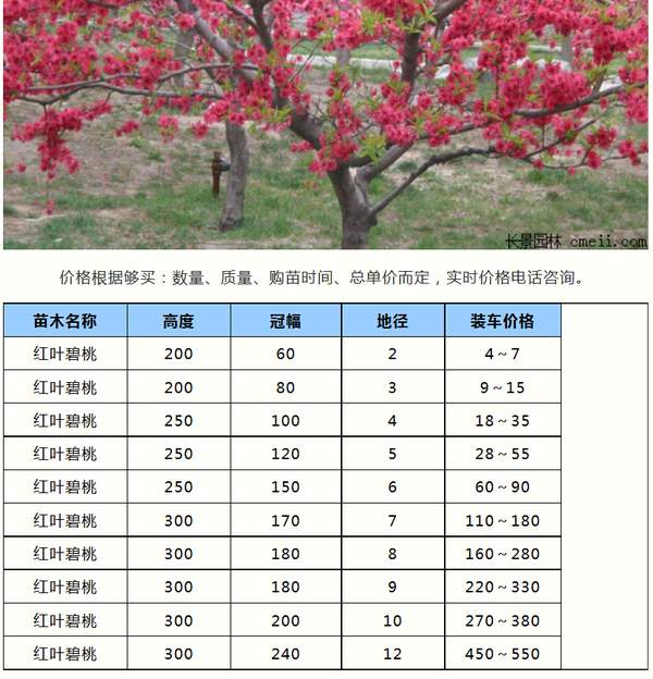http://www.atpem.cn/uploads/allimg/160910/11-16091015254M05.jpg