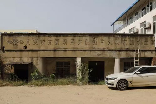 文物古跡 文物古跡 武漢市東西湖區(qū)人民政府 武漢臨空港經(jīng)濟(jì)技術(shù)開(kāi)發(fā)區(qū)管委會(huì)