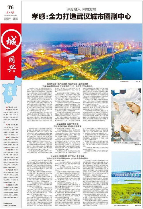 最新規劃出爐 武漢城市圈有大動作