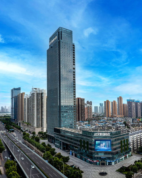 增強文化自信,加快適應信息技術迅猛發展新形勢 武漢黨員干部群眾學習領會黨的二十屆三中全會精神之五 武漢市人民政府門戶網站